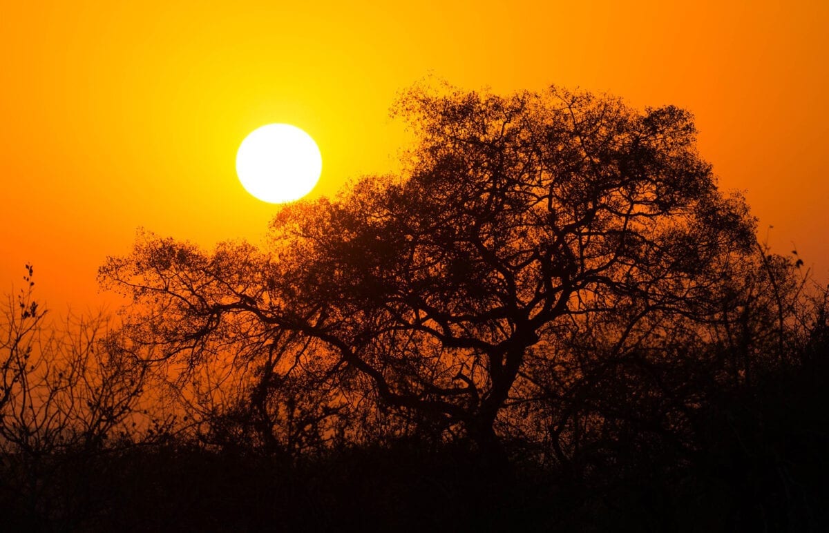 Por do sol nas savanas sul-africanas