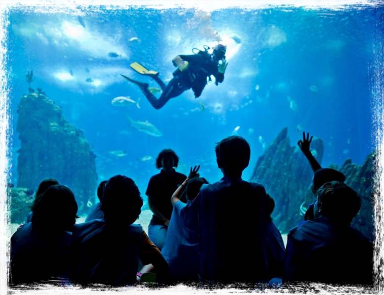 oceanario