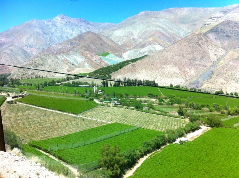 valle del elqui