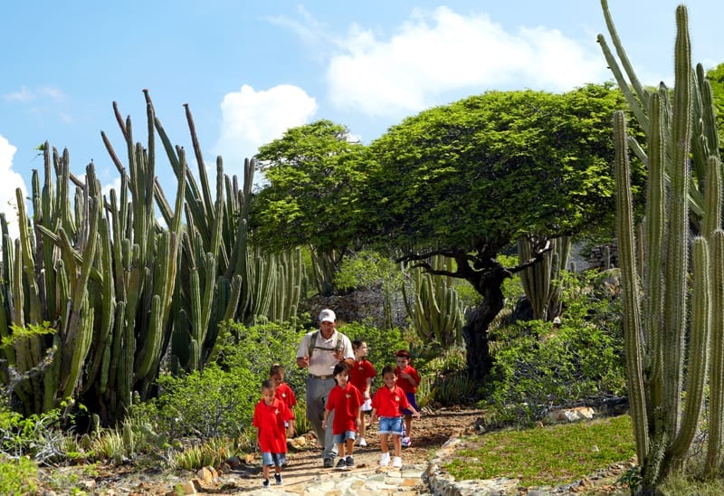 1 - Cactos no Parque Nacional Arikok 1_Credito_ATA
