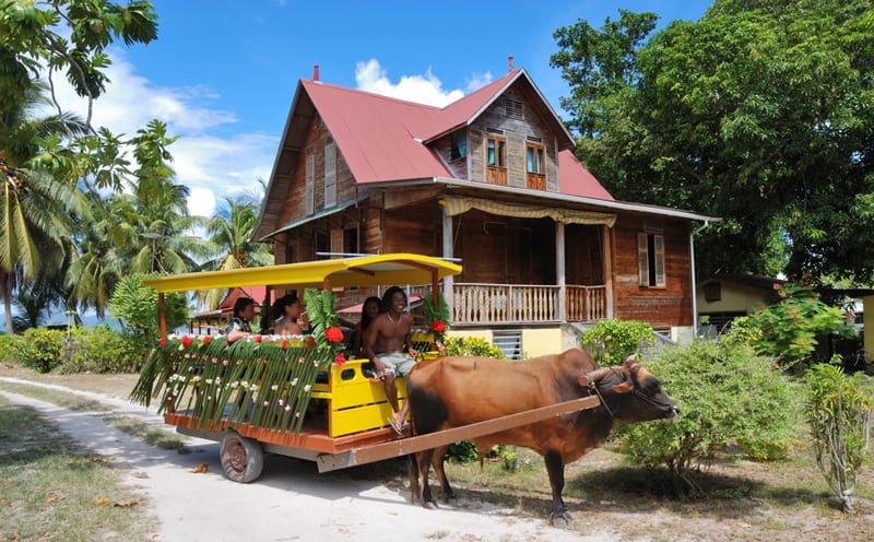 IMG4-Ox-Cart--Old-House