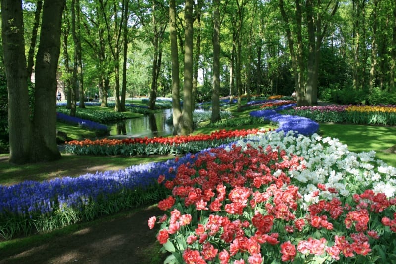 Keukenhof_340