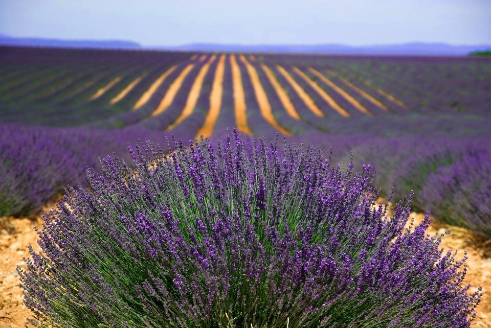 provence-725856_960_720