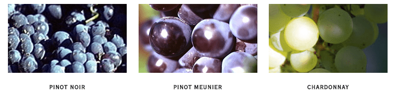 uvas