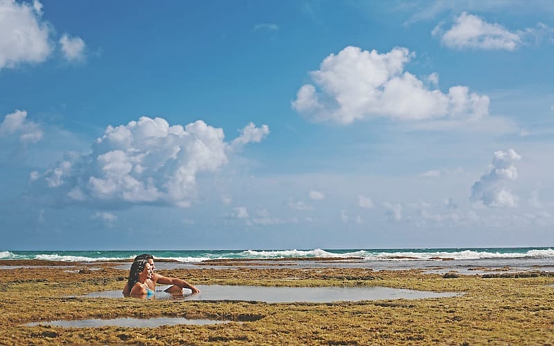 Barbados é um lugar perfeito para quem busca um lugar lindo