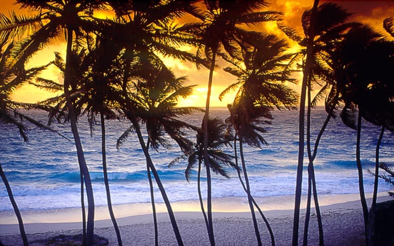 Praia tranquila no Caribe