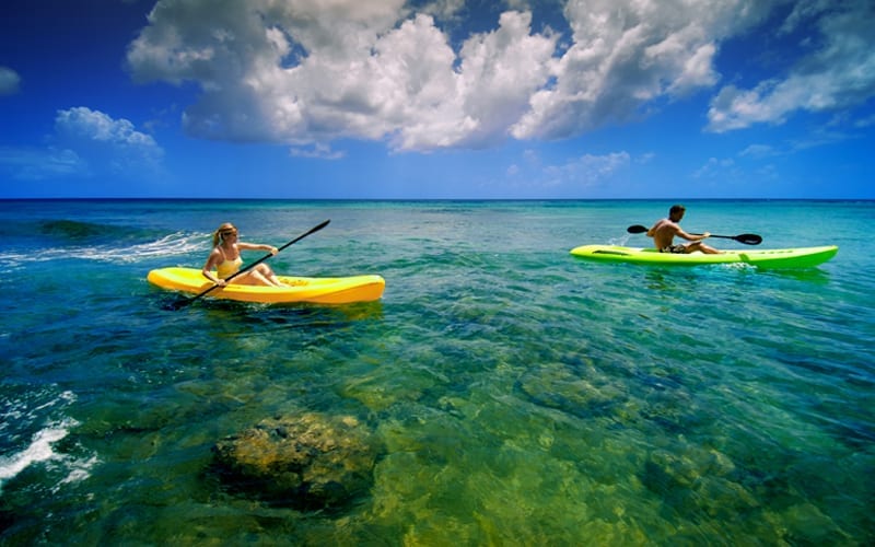 Island Safari