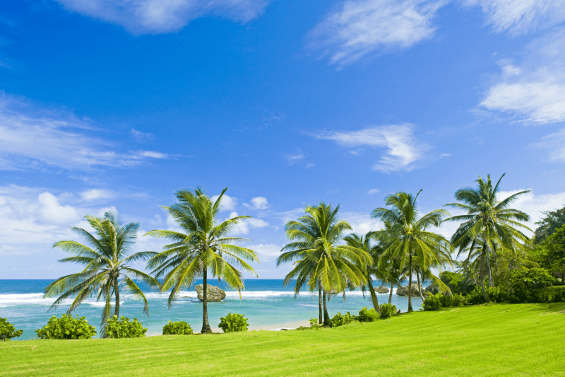 O casamento dos sonhos em Barbados