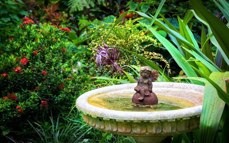 Hunte’s Garden
