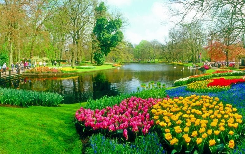 keukenhofgardens