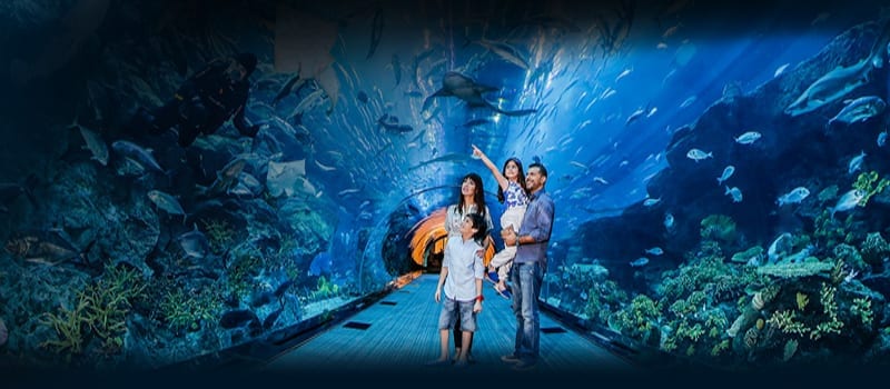 dubai aquarium