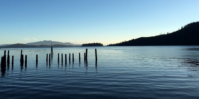 image6