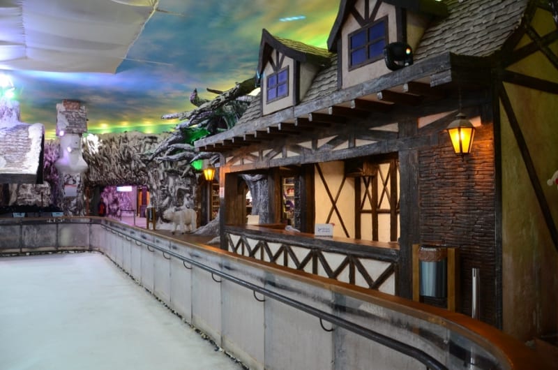 dsc_6291creditodivulgacaosnowland