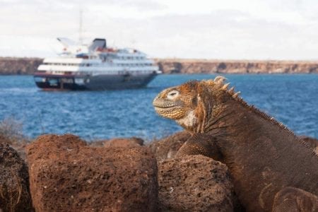 silver-galapagos