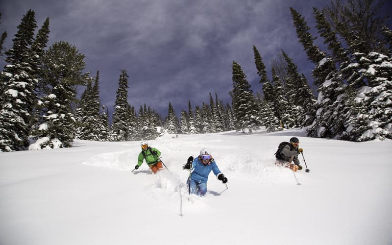 ski-powder-20
