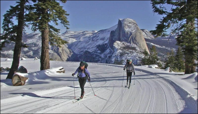 dnc-yosemite-badger-121913p