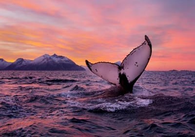 noruega-2