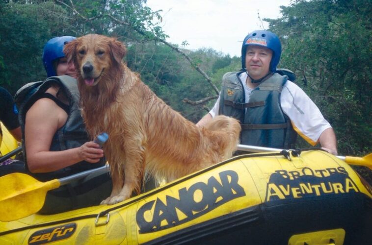 Pets no Brotas Eco Hotel Fazenda