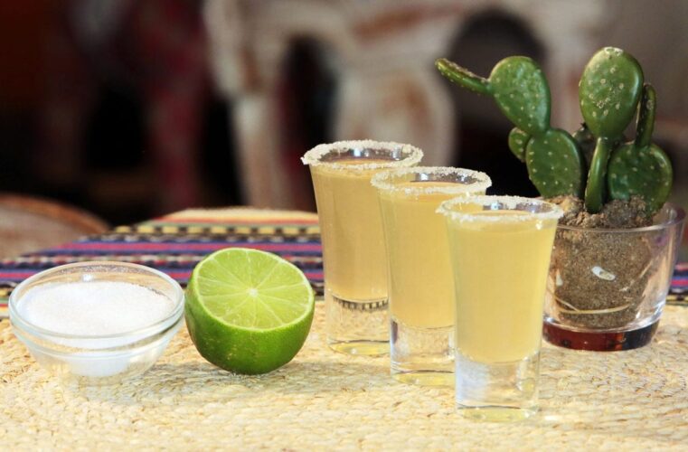 10 curiosidades sobre o México para viajar bem informado: Tequila