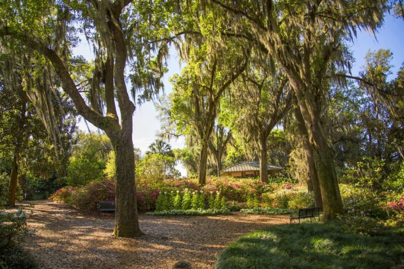Bok Tower Gardens