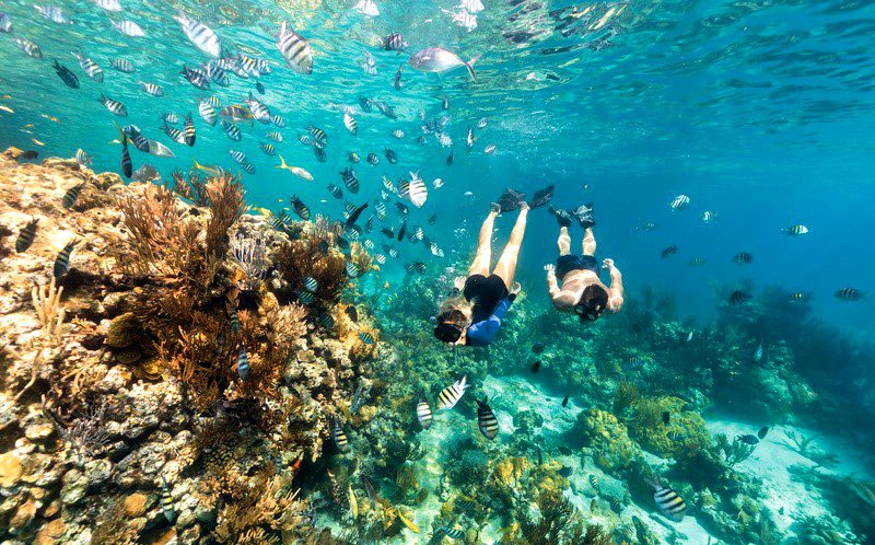 Férias nas Bahamas tem que ter mergulho