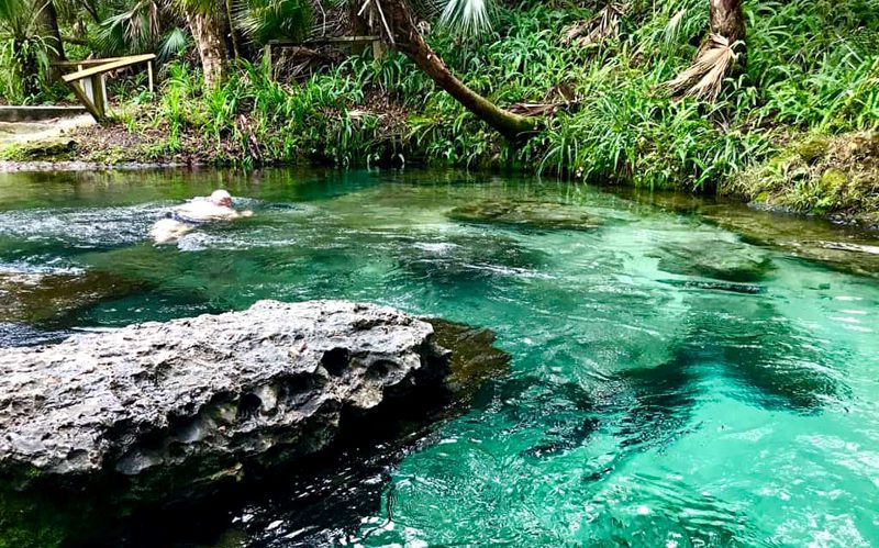 Flórida Springs