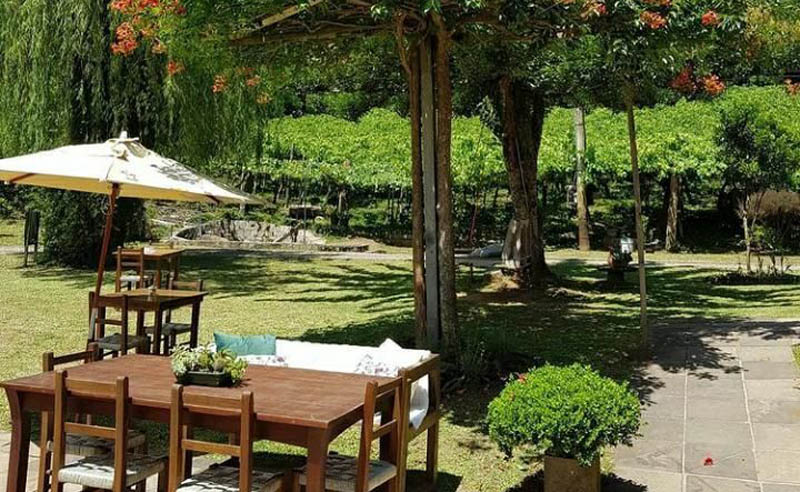 Cuca e Marmelatta, vinícola pet friendly