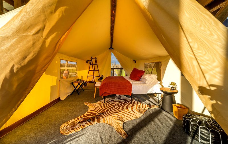 Safari Wilderness Ranch na Flórida Central