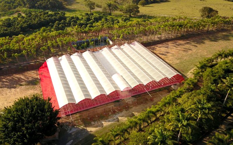 Estufa de morangos faz sucesso no Parque Maeda