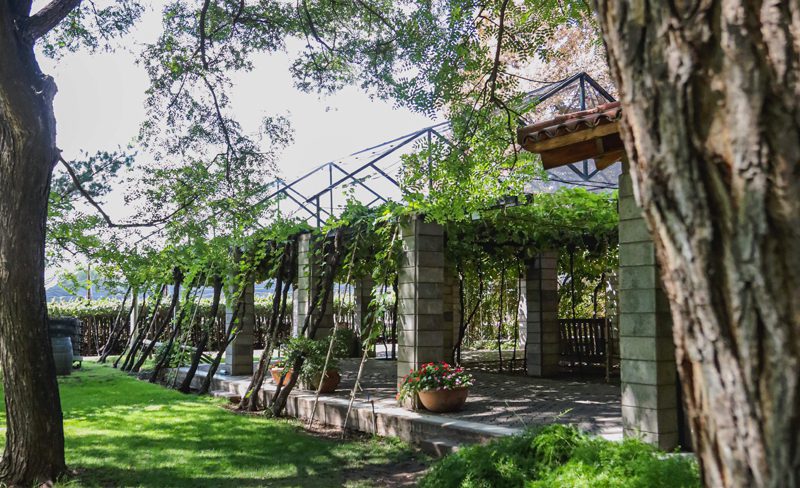 Bodega Santa Julia em Mendoza