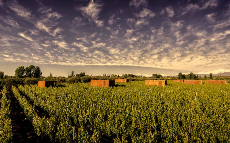 Entre Cielos Wine Hotel & Spa