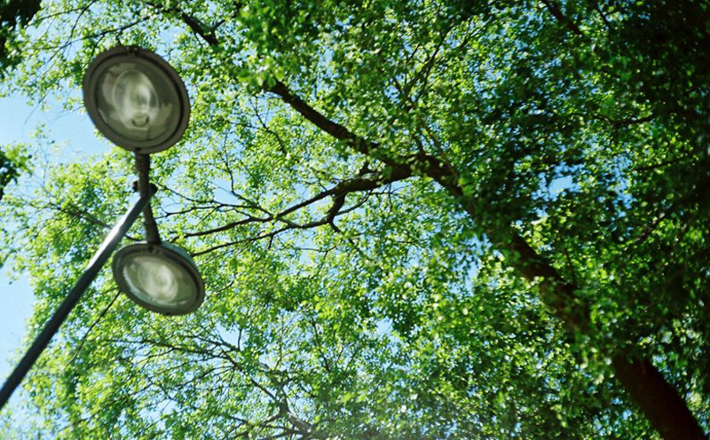 Os melhores parques de Caldas Novas