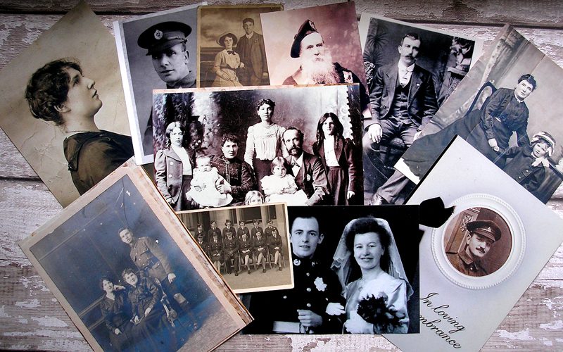 Cidadania portuguesa: Árvore genealógica