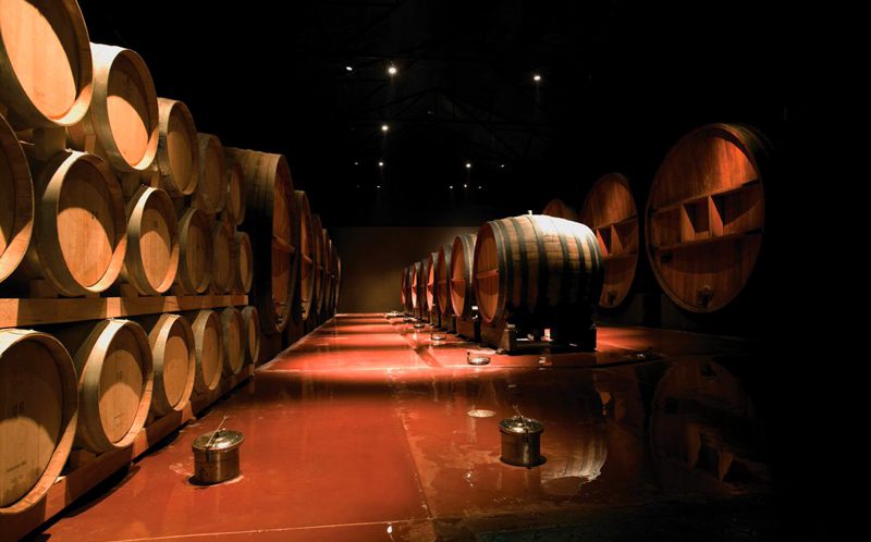 Bodega Dante Robino