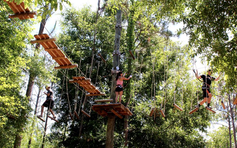 Tree Trek em Orlando