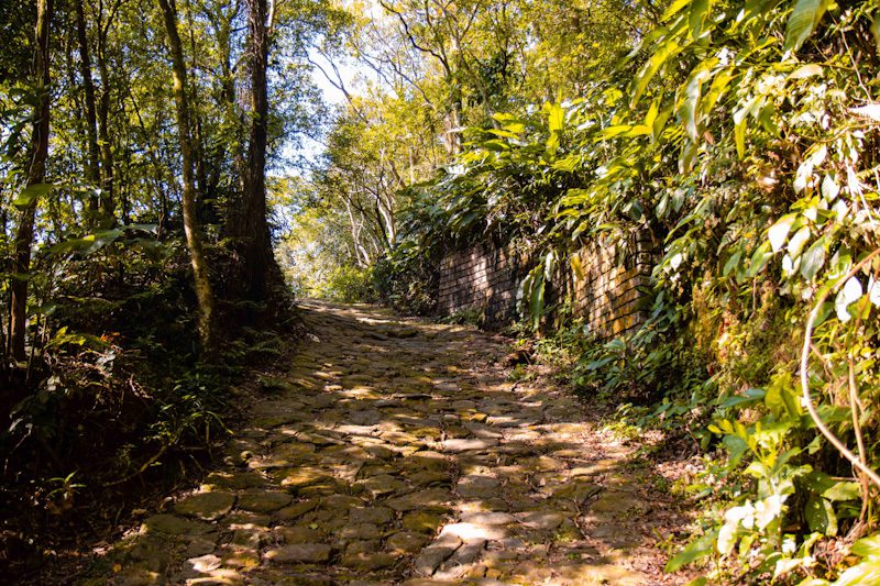 Caminhos do Mar: Trilha Cachoeira da Torre