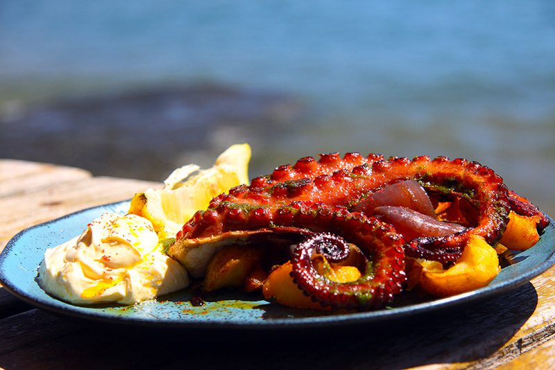 1º Festival Gastronômico Sabores da Praia – Edição Ilhabela