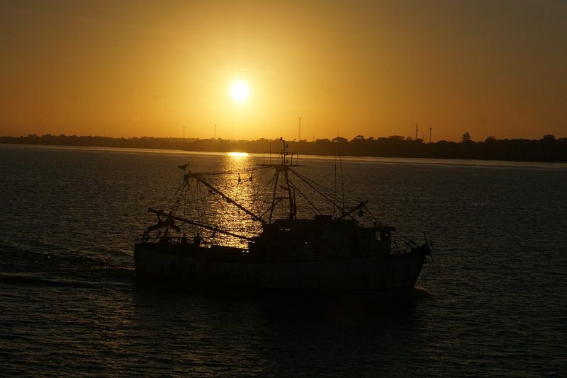 Destinos na região Norte: Ilha de Marajó