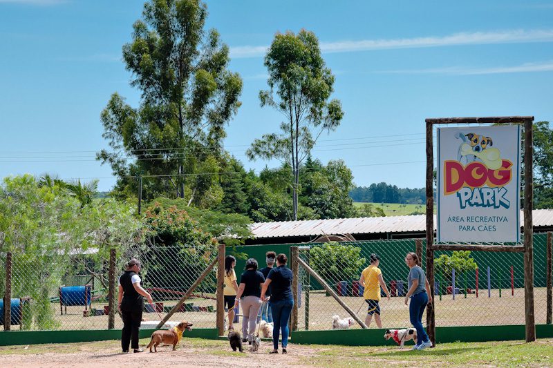 Dog Park