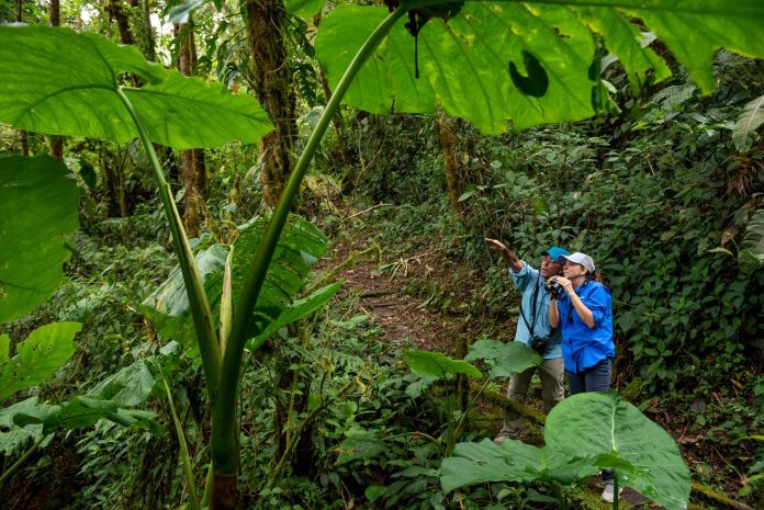 Descubra espetáculo natural impressionante no Panamá 