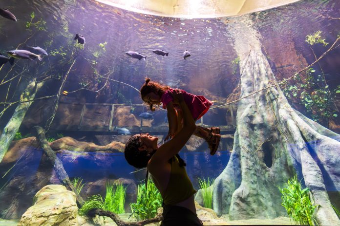 AquaFoz: experiência imersiva em Foz do Iguaçu