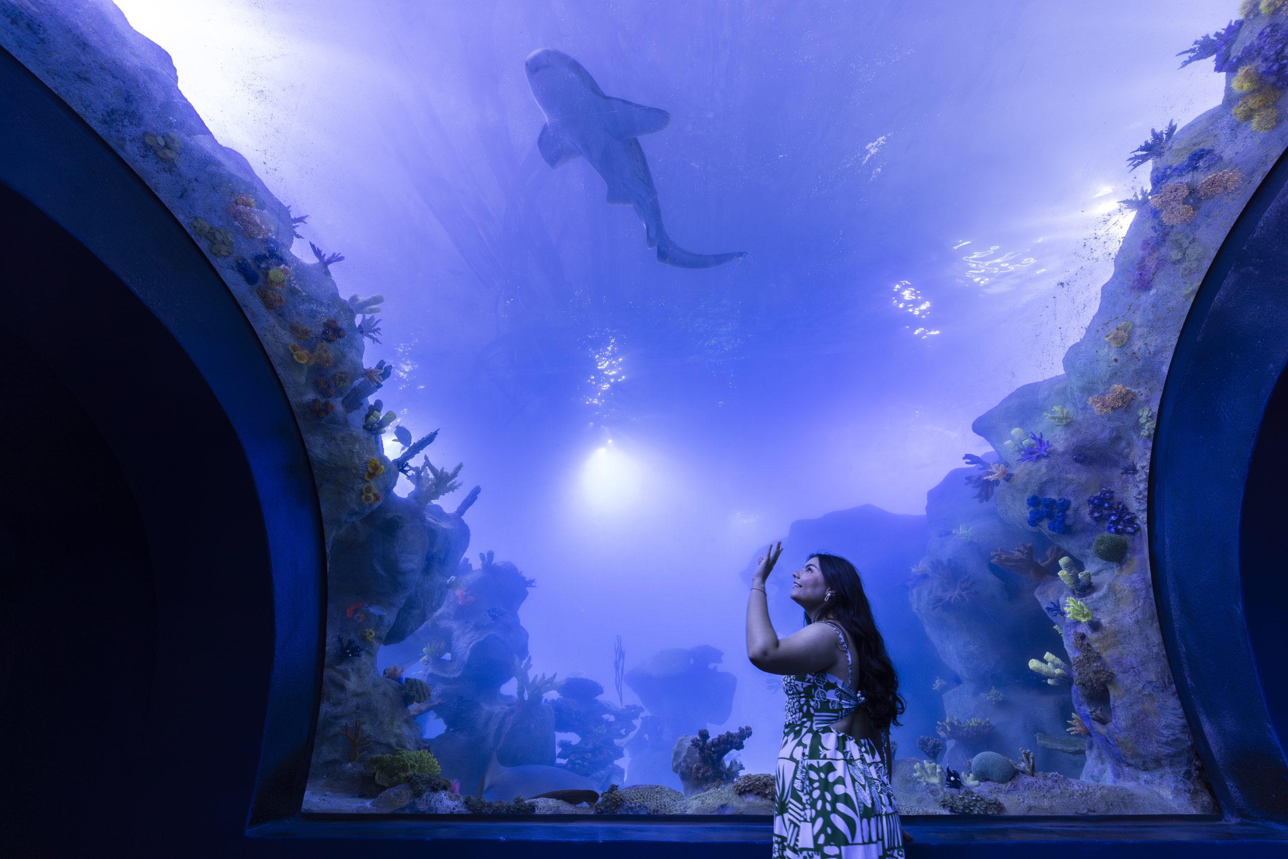AquaFoz: experiência imersiva em Foz do Iguaçu