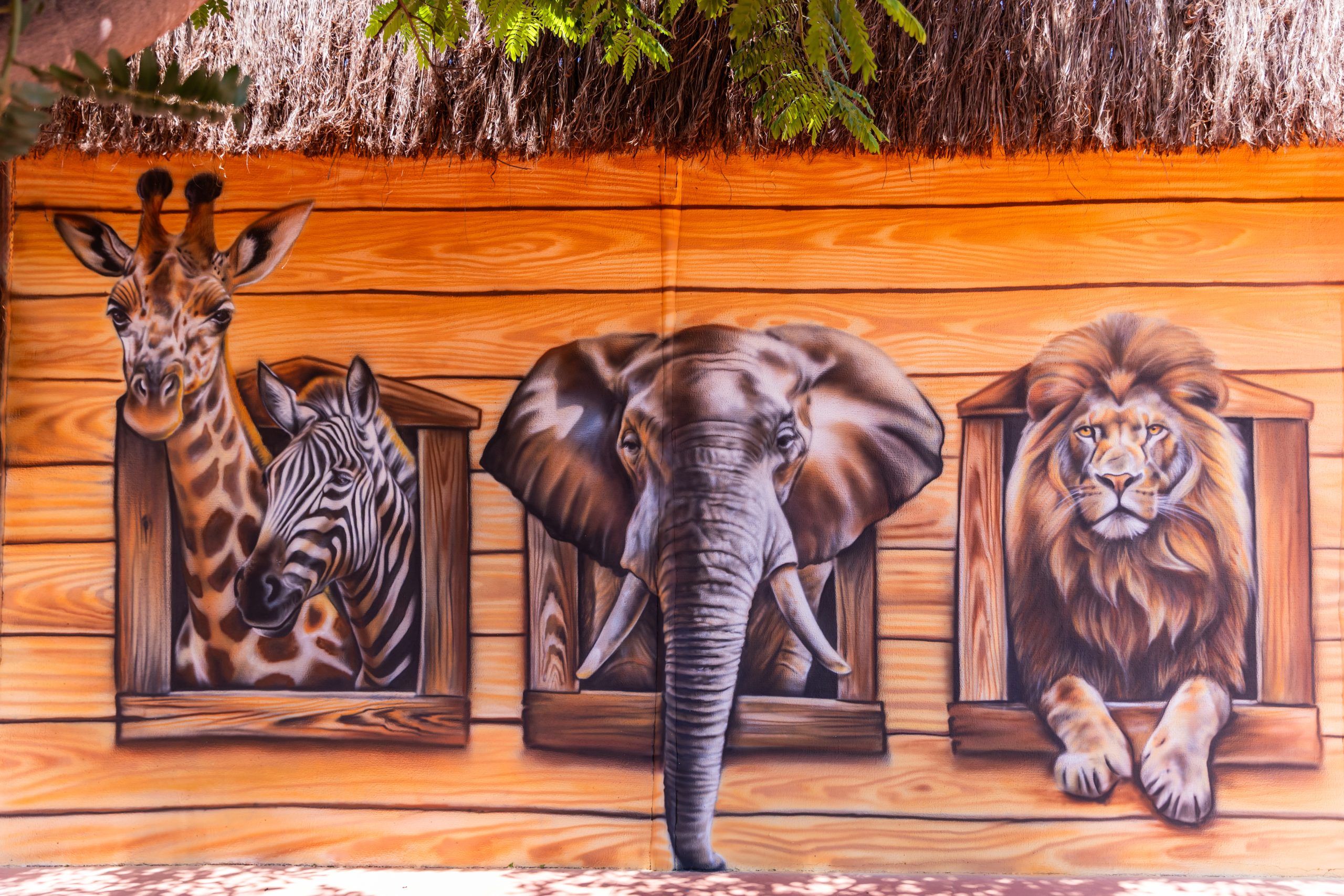 Novos painéis no Arca Parque