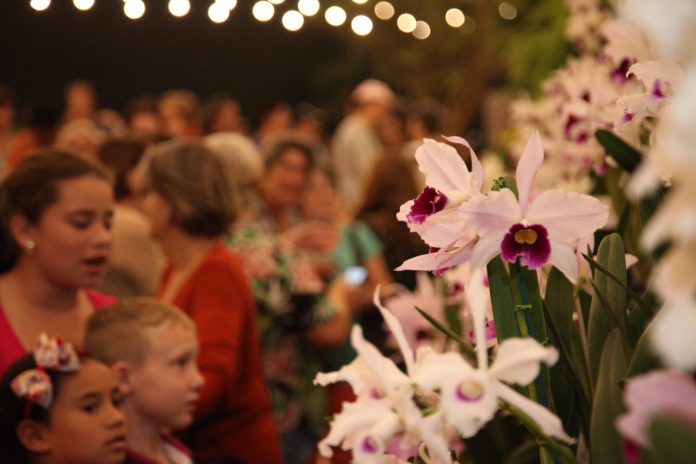 Joinville realiza 85ª Festa das Flores em novembro