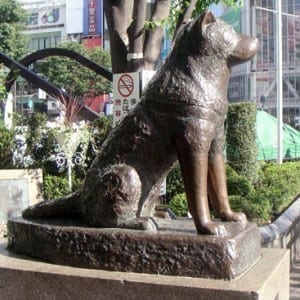 hachiko-statue