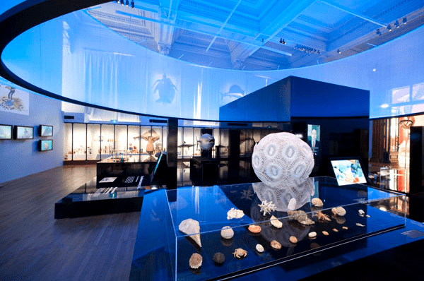 monaco - museu oceanografico1