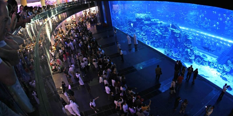 Dubai_aquarium