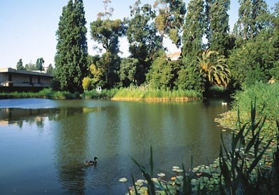 jardins-da-fundacao-calouste-gulbenkian