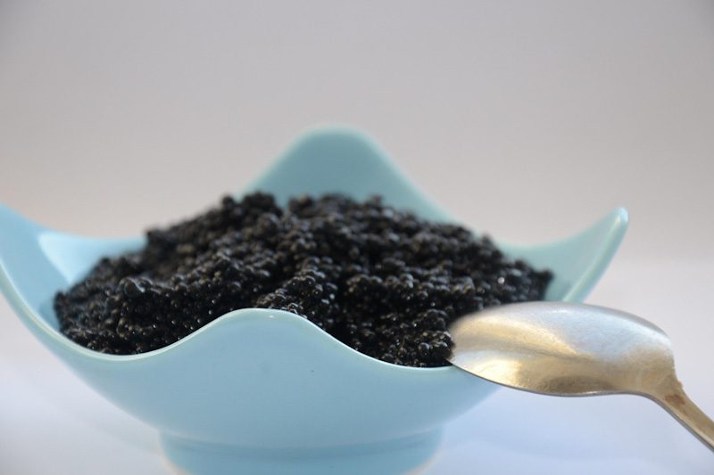 Fazendas incríveis para experiências gastronômicas: caviar