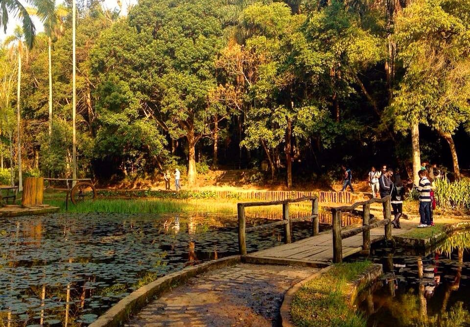 Jardim Botânico De São Paulo Celebra 90 Anos Com Livro E Exposição 8487